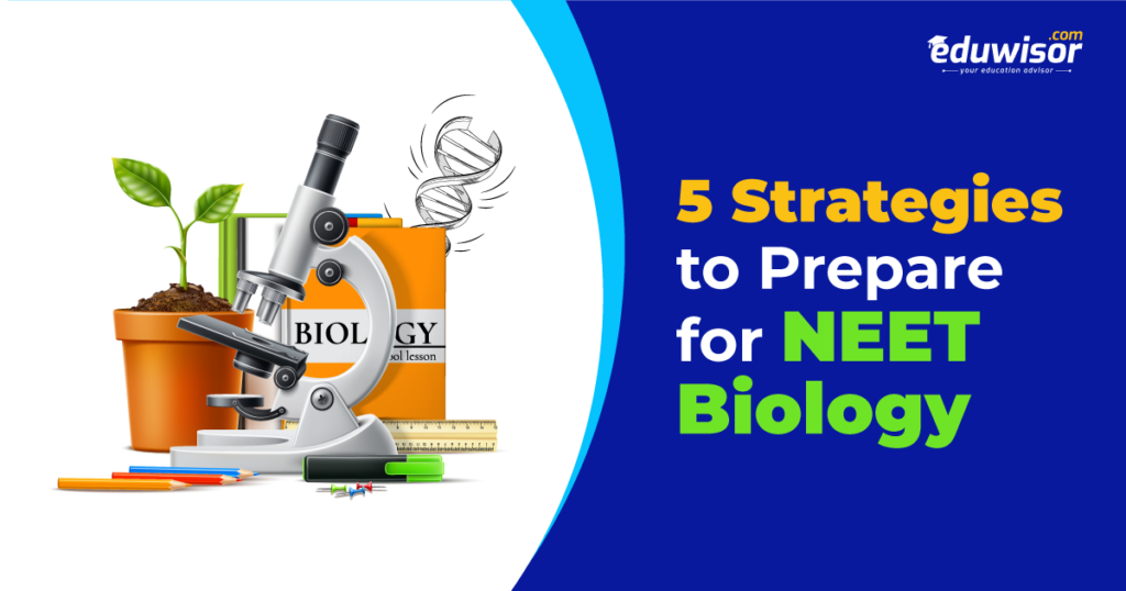 Top Strategies to Prepare for Biology in NEET UG Exam